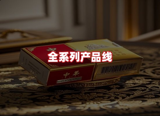 专业团队